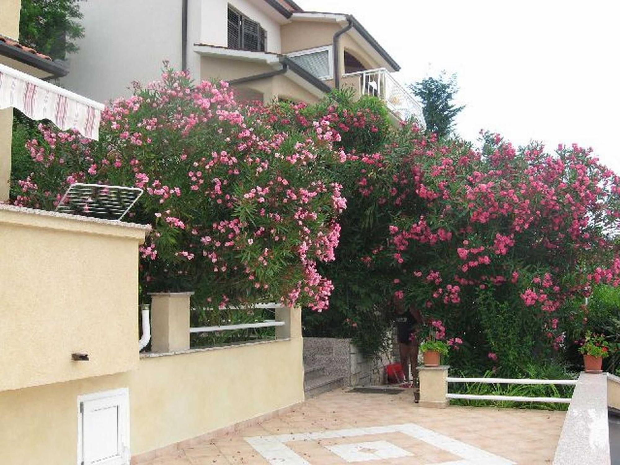 Apartments Silmare Rabac Exteriér fotografie