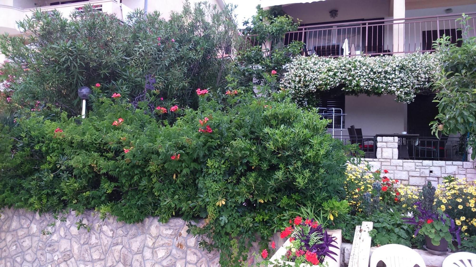 Apartments Silmare Rabac Exteriér fotografie