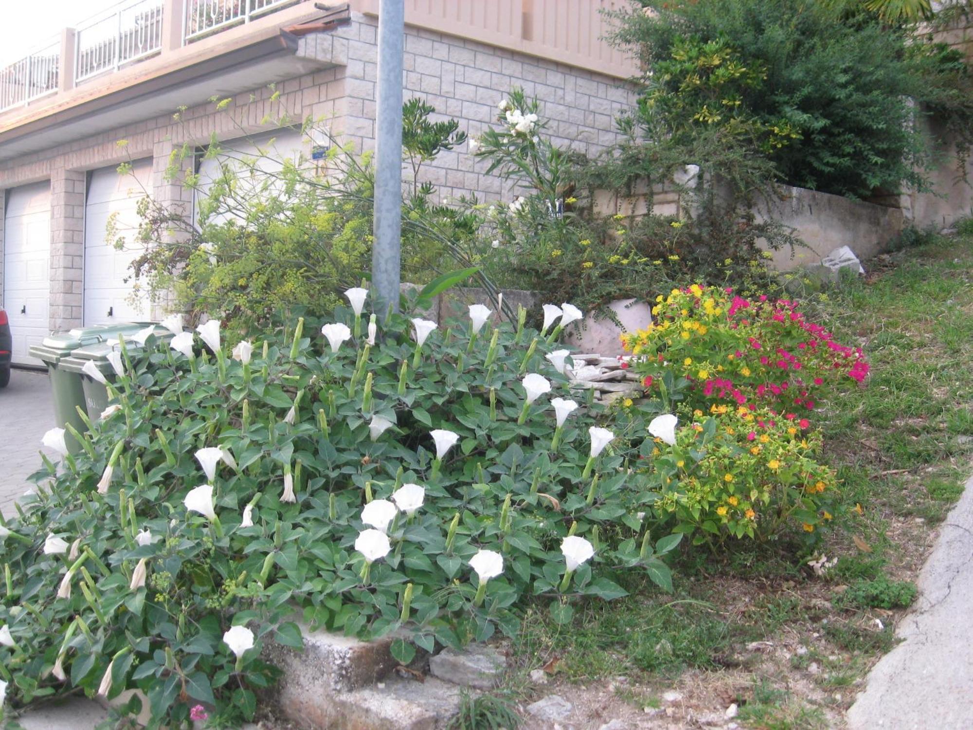 Apartments Silmare Rabac Pokoj fotografie